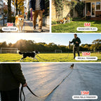 Wisedog weatherproof long leash for outdoor yard play and camping adventures