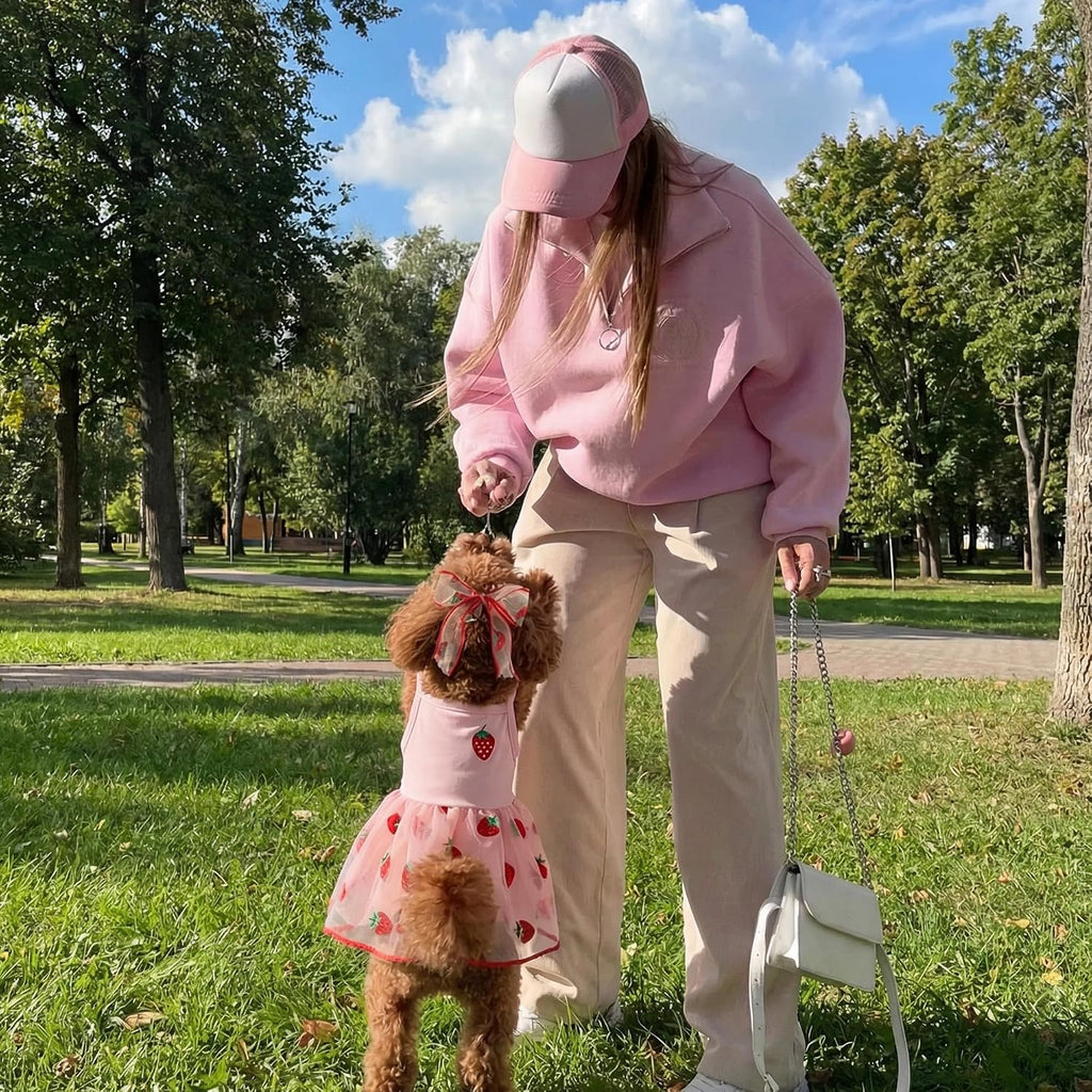 BAOBICUTE summer dog dress outfit for Chihuahua and Yorkie
