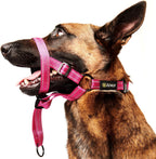 ZEVEY padded no pull dog muzzle harness showing reflective stitching details