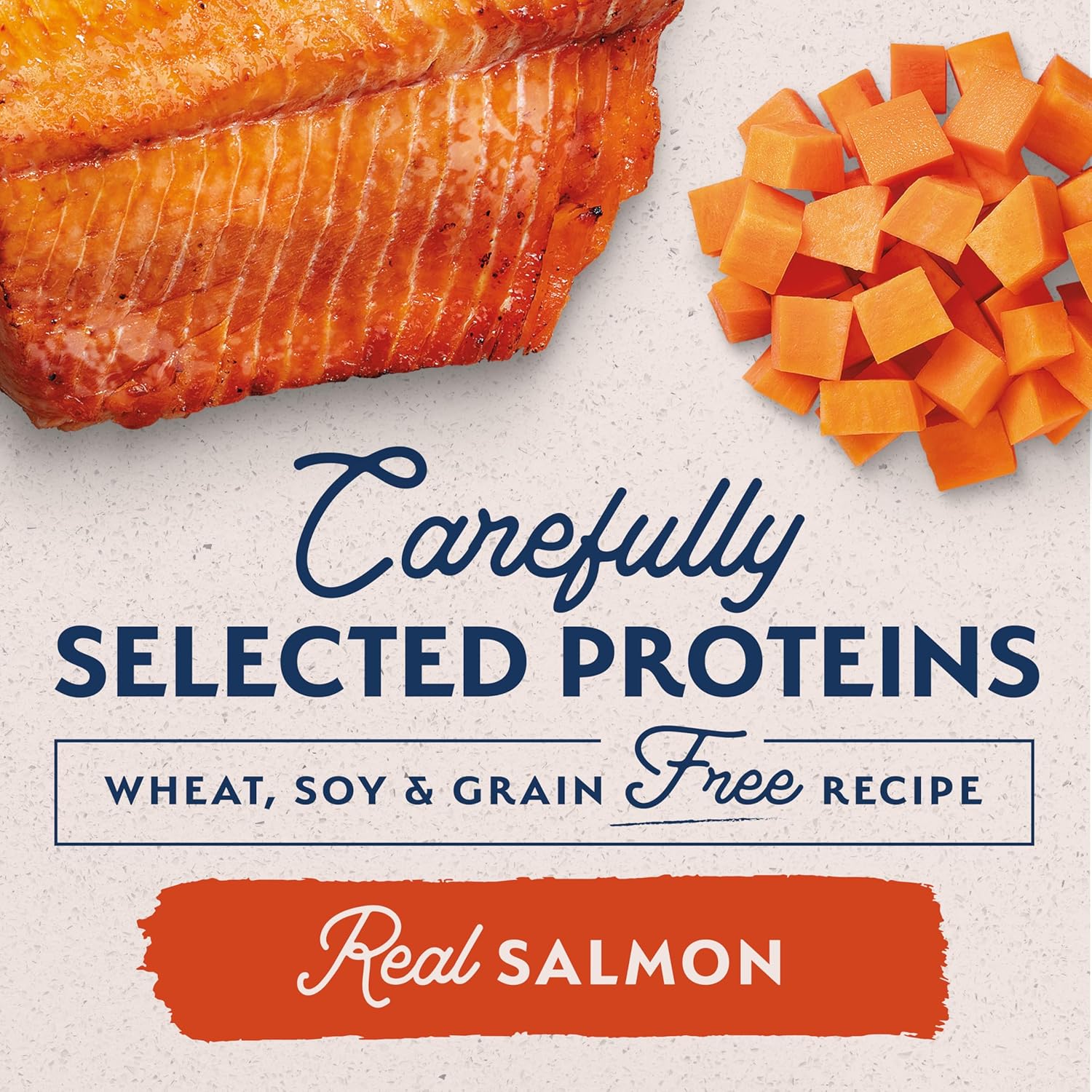 Natural Balance limited ingredient diets salmon formula wet dog food for sensitive stomachs