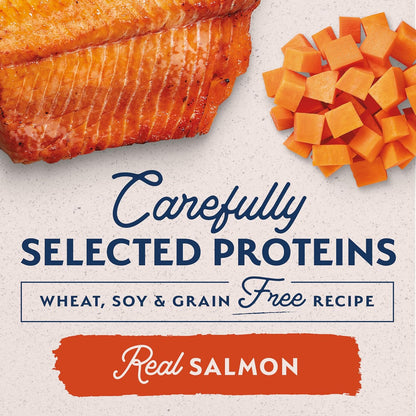 Natural Balance limited ingredient diets salmon formula wet dog food for sensitive stomachs