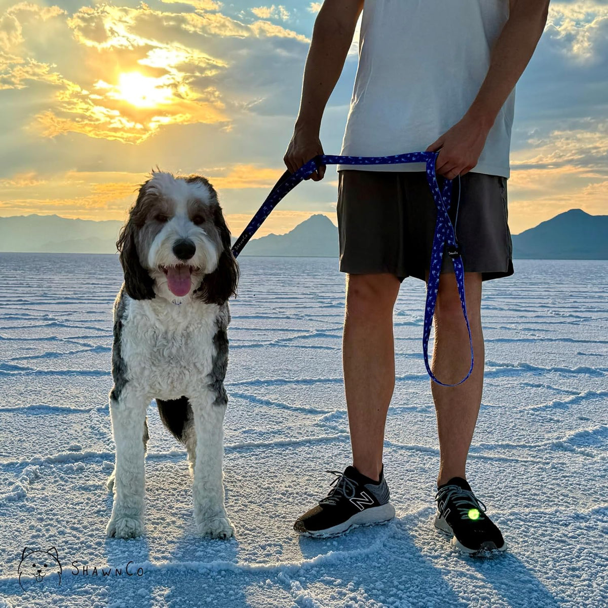 Protective rubber logo covering stitching on ShawnCo dog leash
