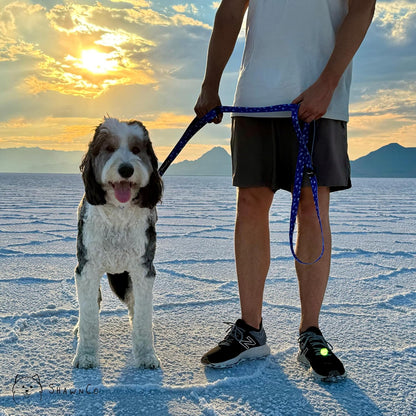 Protective rubber logo covering stitching on ShawnCo dog leash