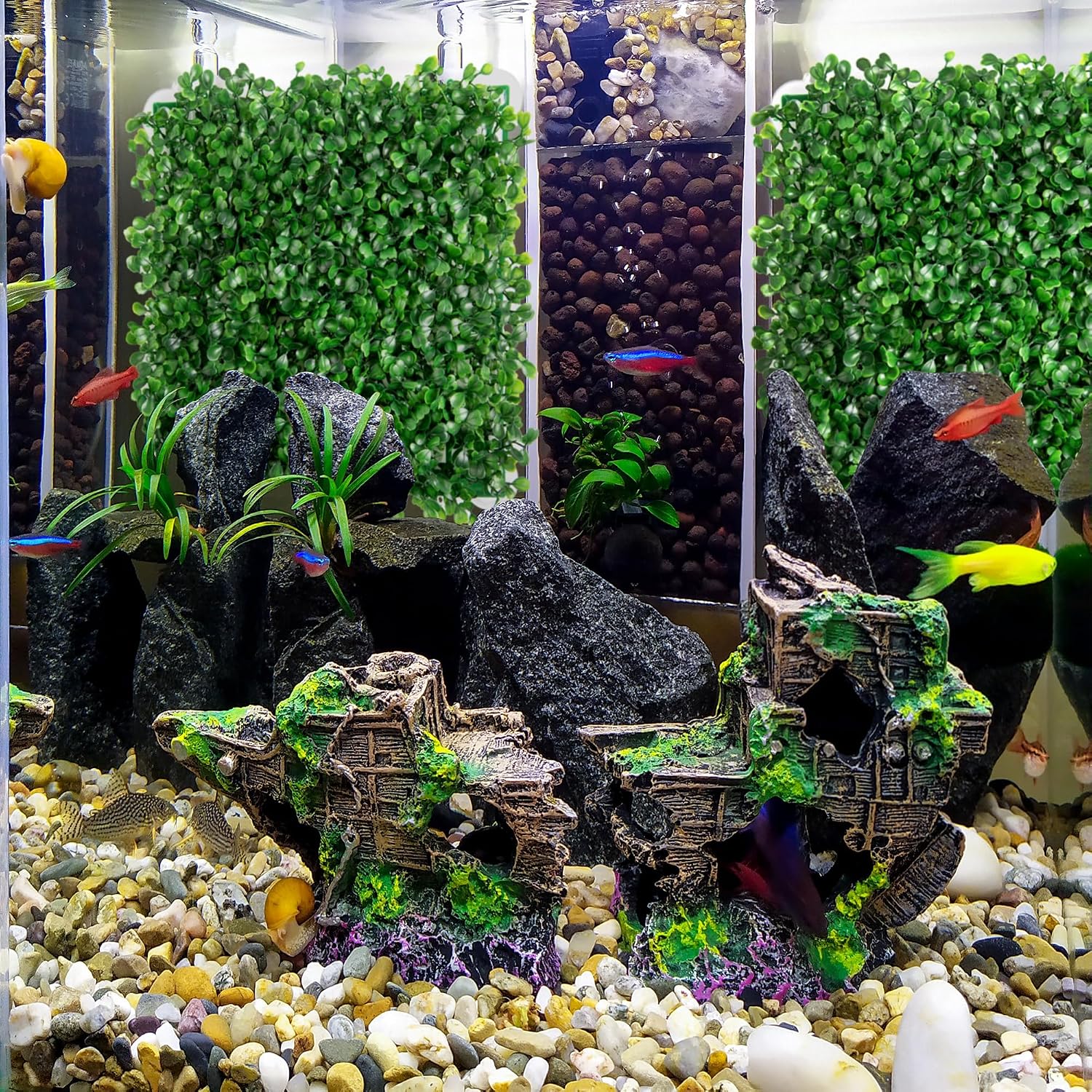 Reptile tank setup featuring Orchidleaf climbing wall and foliage
