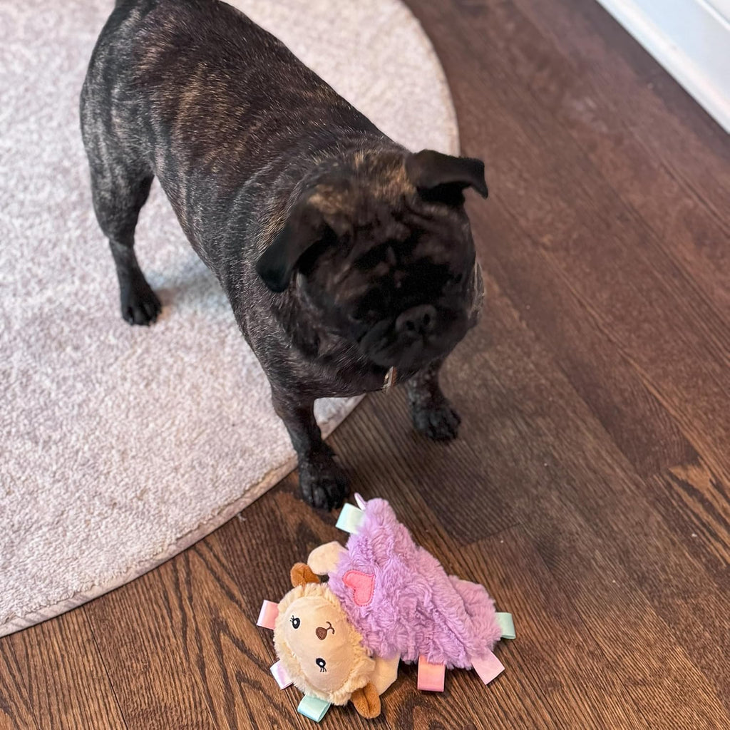 Packaging details for Spot Soothers imported dog toy