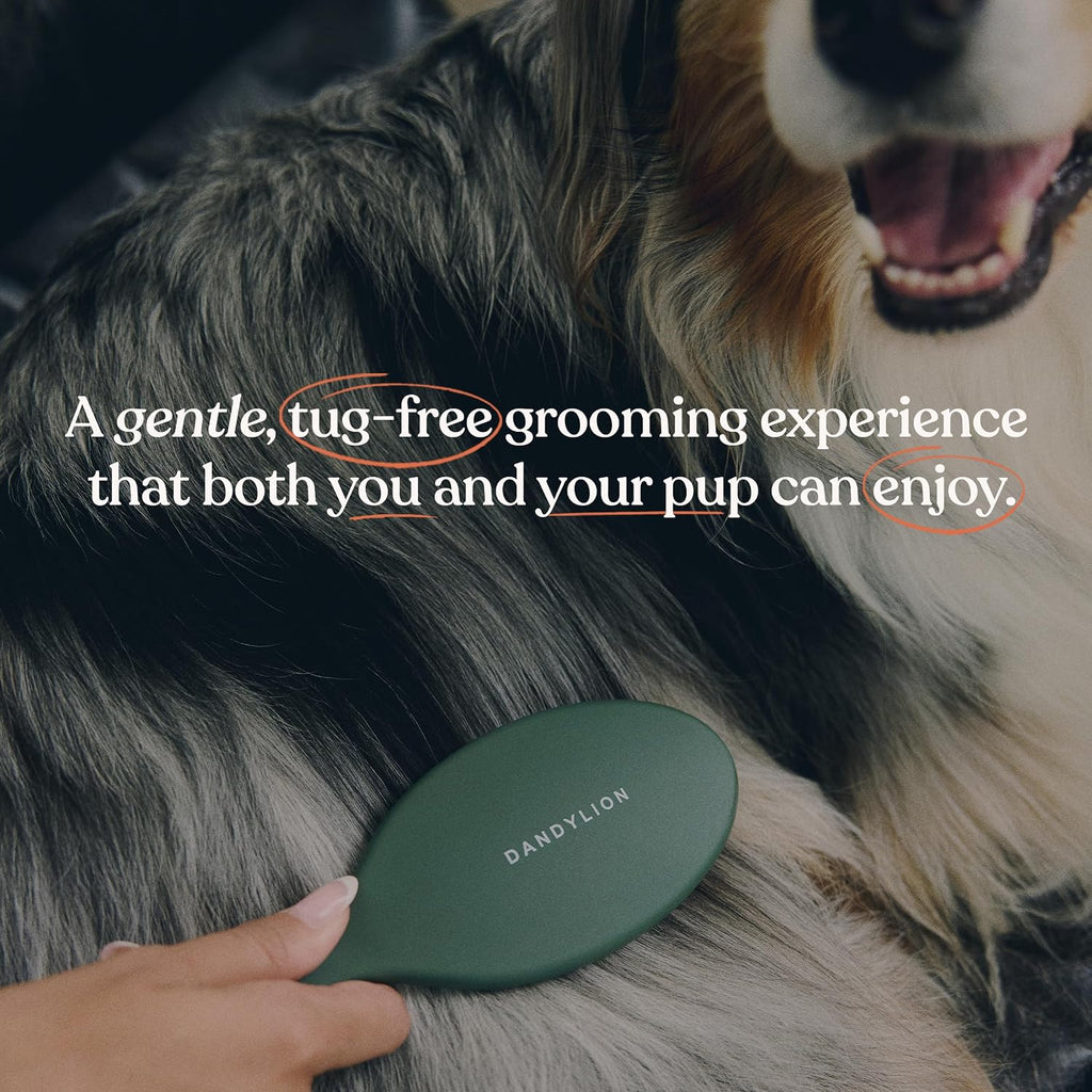 Dandylion pH balanced puppy detangling mist being applied to a curly coat
