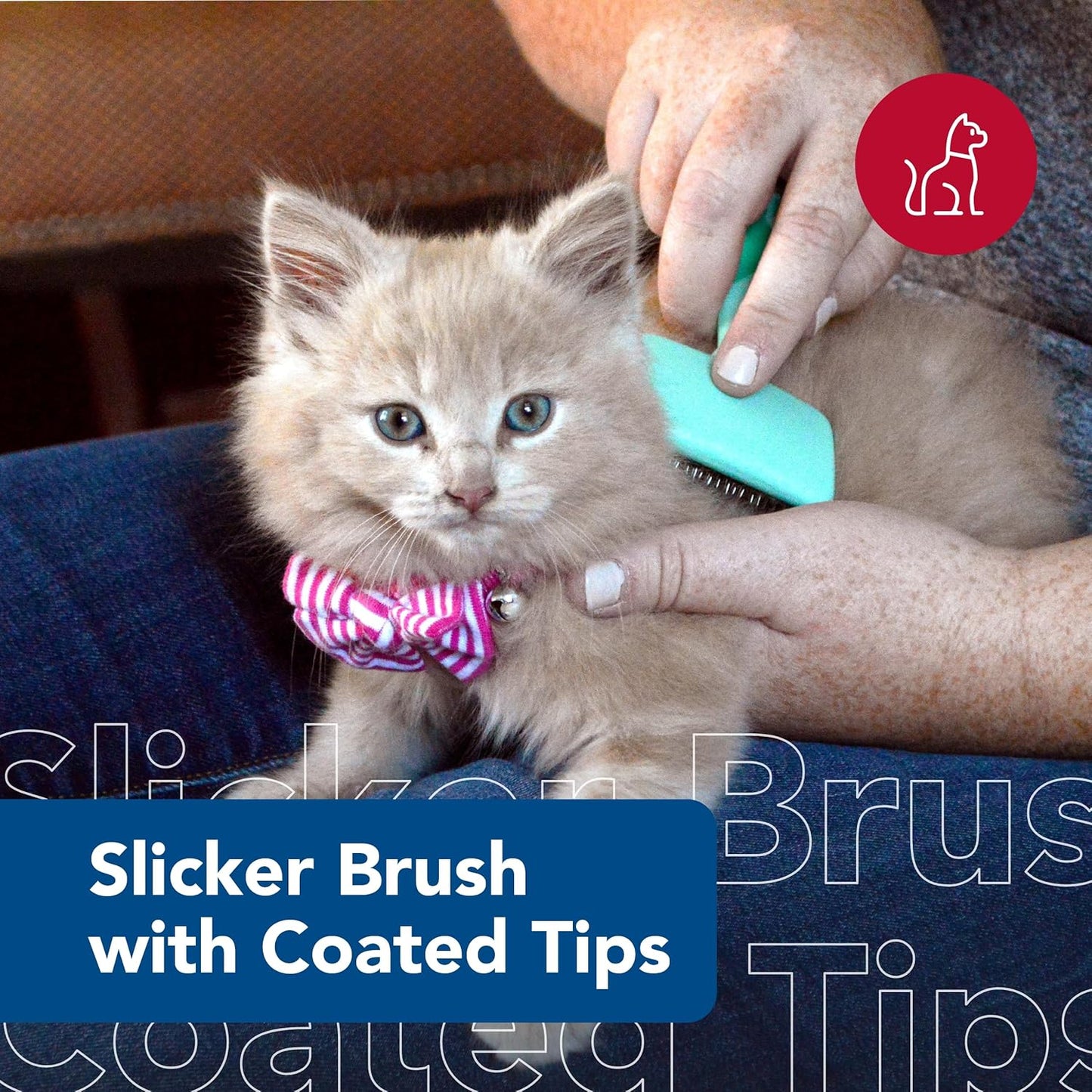 Coastal Pet Li'l Pals small cat grooming brush with coated tips for sensitive skin