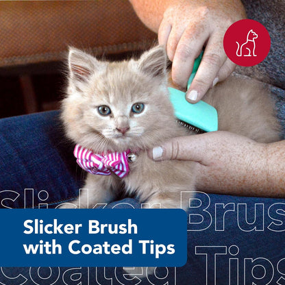 Coastal Pet Li'l Pals small cat grooming brush with coated tips for sensitive skin