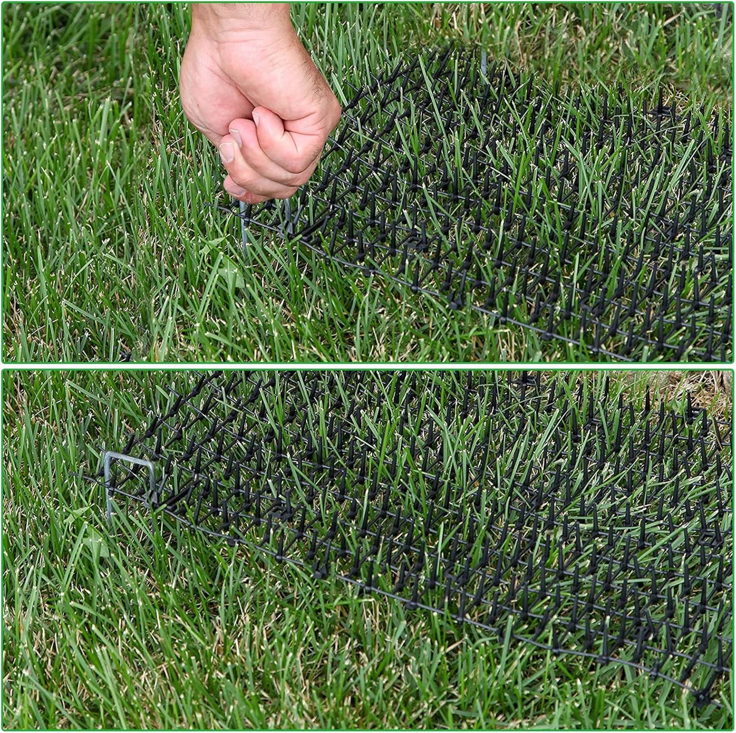 Eatheaty cat scat mat showing garden staples for installation