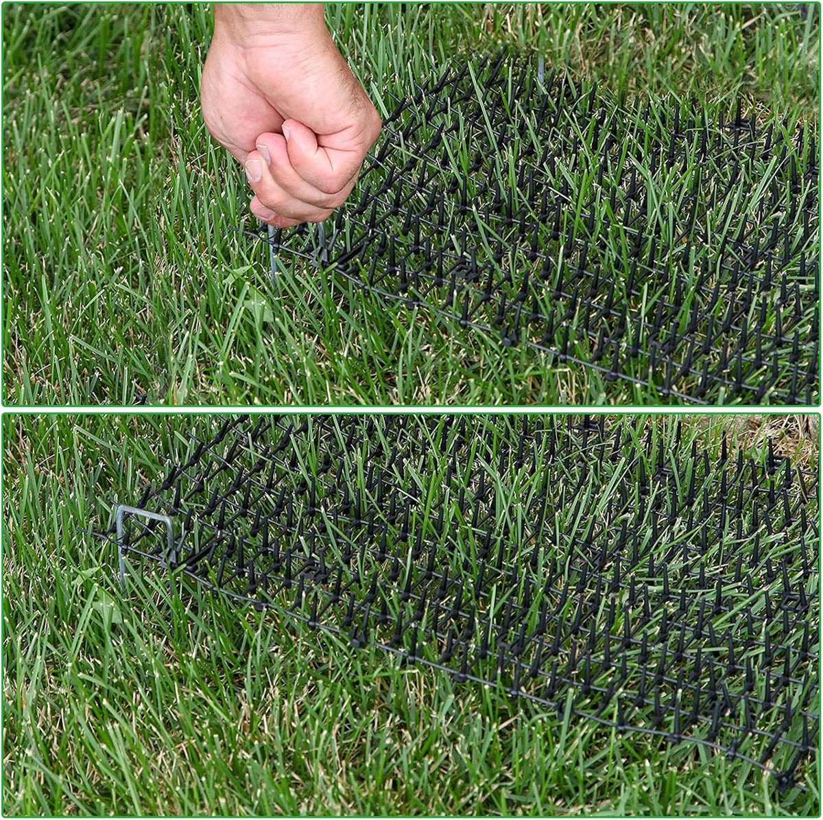 Eatheaty cat scat mat showing garden staples for installation
