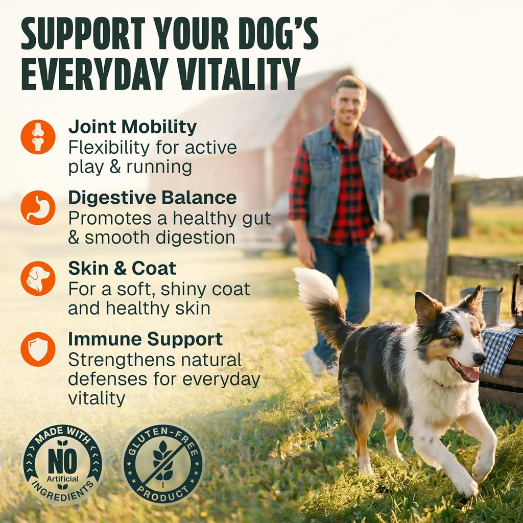 Authentic canine daily health supplement with omega 3 and probiotics close up
