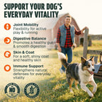Authentic canine daily health supplement with omega 3 and probiotics close up