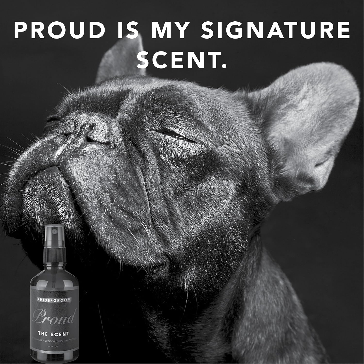 Pride and Groom Proud refreshing pet scent spray in lifestyle setting