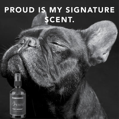 Pride and Groom Proud refreshing pet scent spray in lifestyle setting