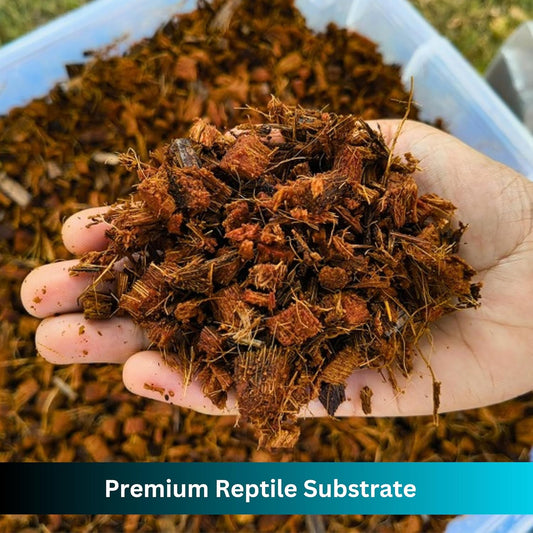 Repti360 coco husk bedding block showing texture details of natural coconut fibers.