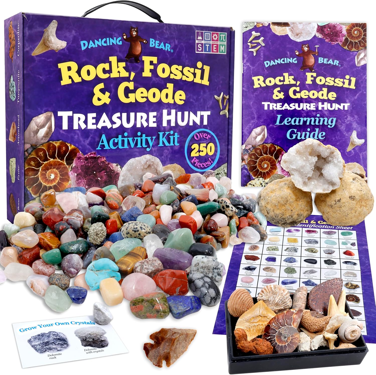 Dancing Bear Rock Mineral and Geodes Treasure Hunt Kit front view packaging