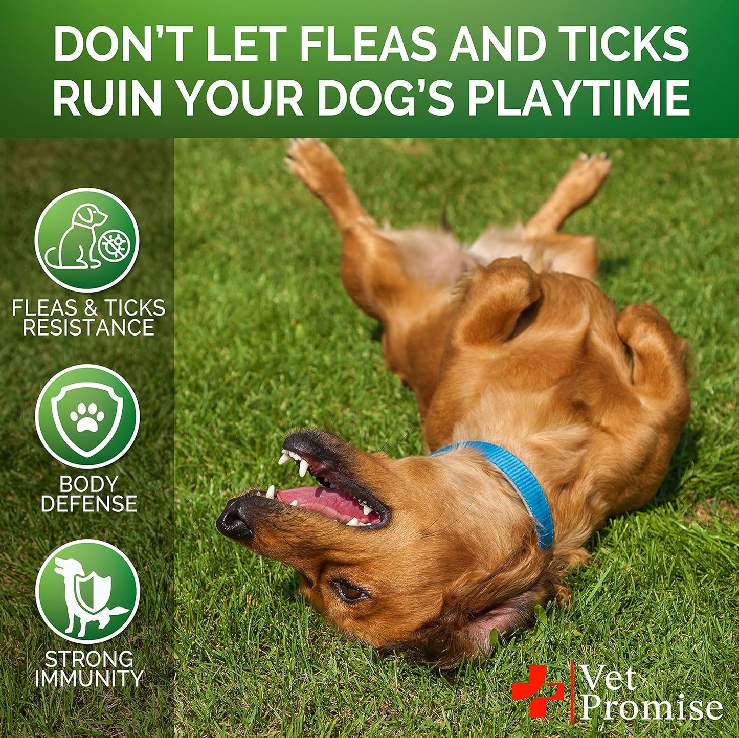 Back label of Vet Promise flea and tick control supplement showing dosage guidelines
