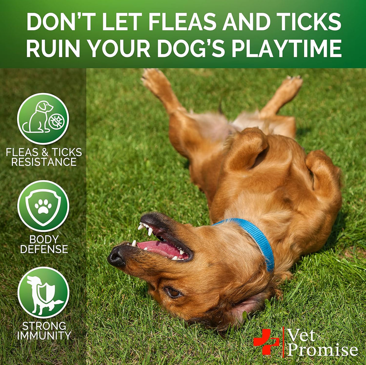 Back label of Vet Promise flea and tick control supplement showing dosage guidelines