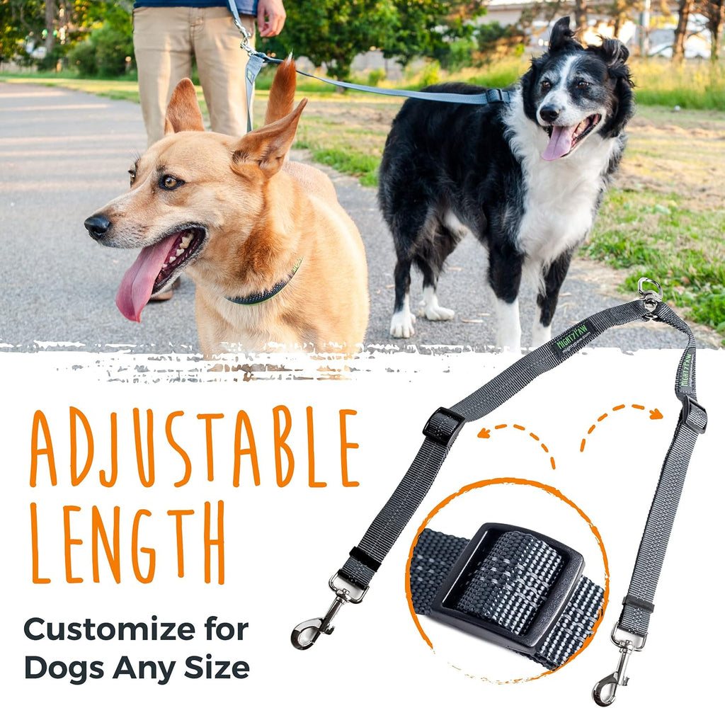 Adjustable split lead coupler for multiple dogs showing reflective safety stitching.
