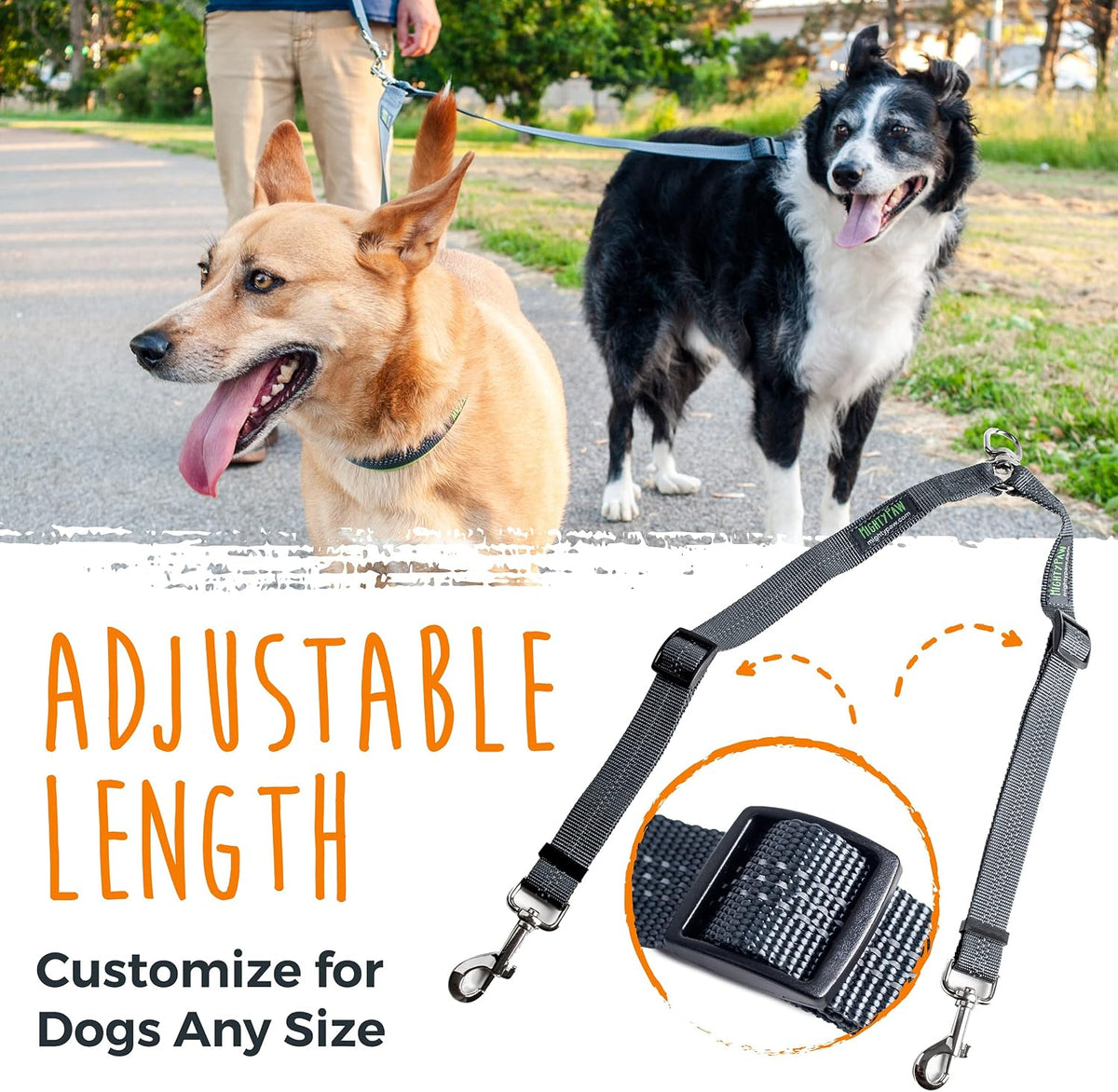 Adjustable split lead coupler for multiple dogs showing reflective safety stitching.