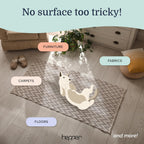 Hepper enzyme spray being used on carpet for pet stain removal
