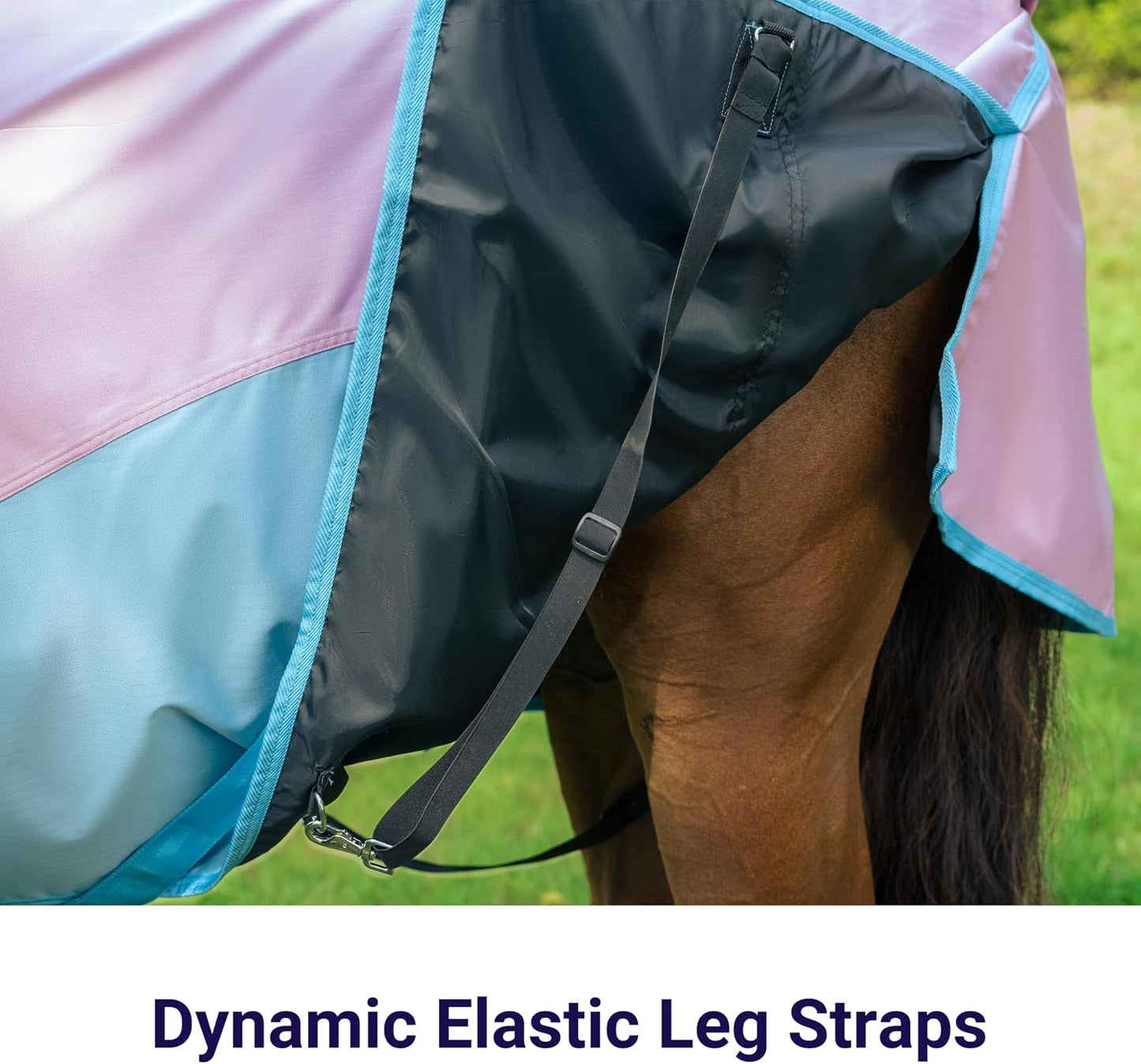 Underbelly view highlighting the crossed surcingles and adjustable elastic leg straps