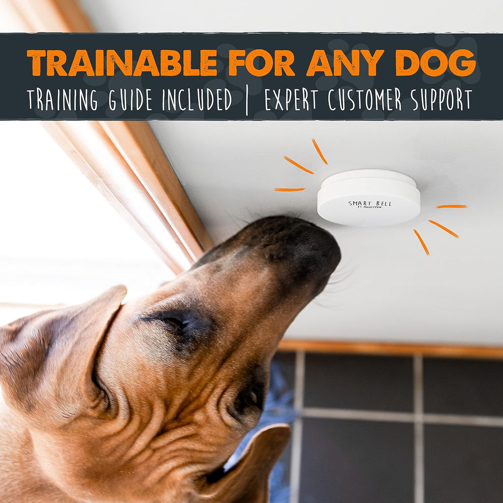 Authentic Mighty Paw packaging for dog training gear