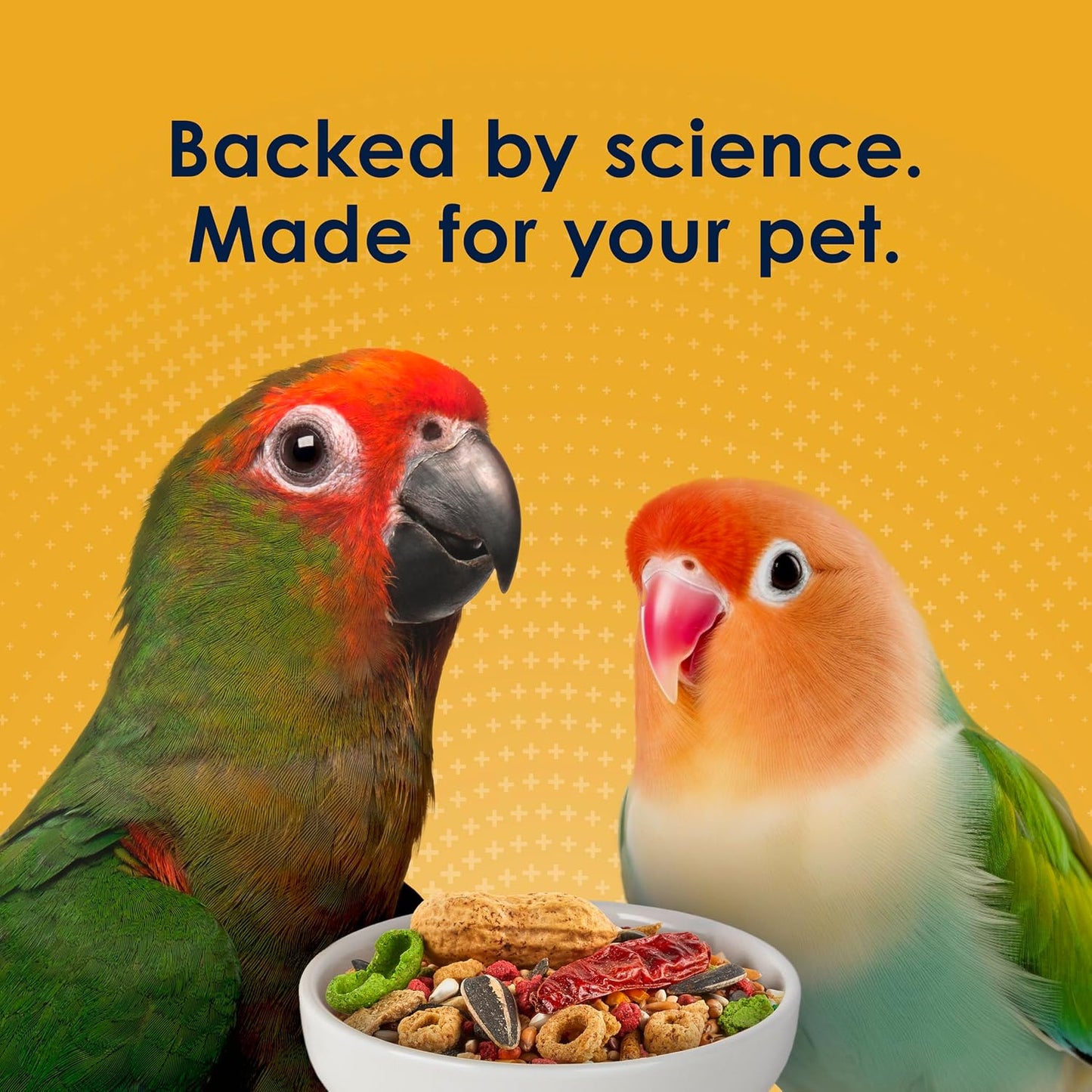 Kaytee Forti-Diet Pro Health Egg-Cite Pet Conure & Lovebird Food, 3 Pound - Image 11