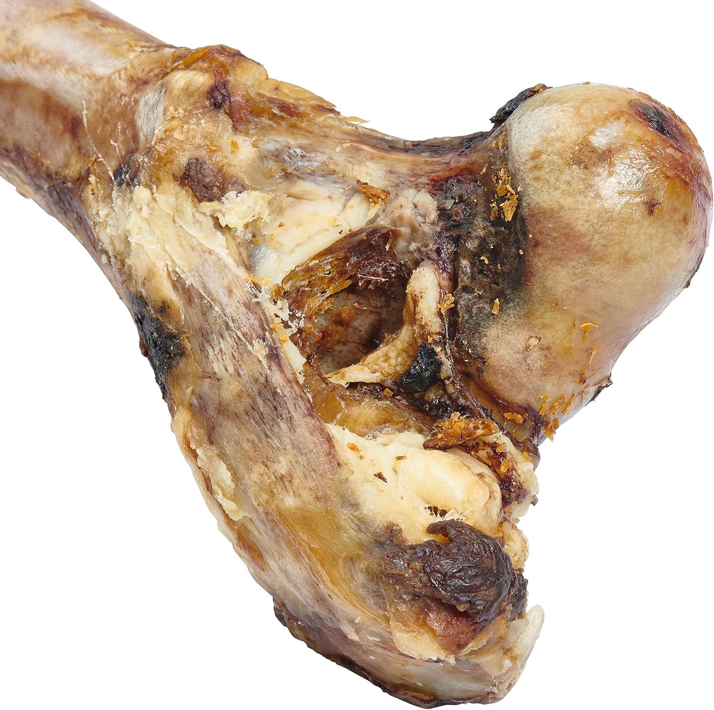 EcoKind heavy duty long lasting mammoth bone for large dogs