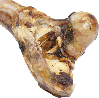 EcoKind heavy duty long lasting mammoth bone for large dogs