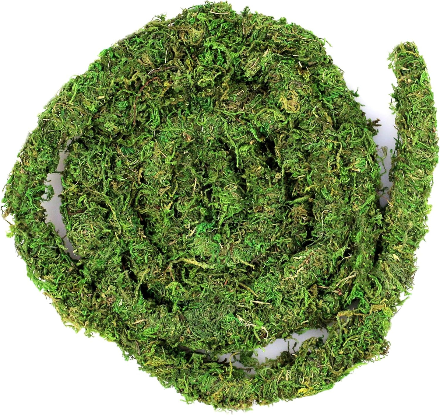 Galapagos 12 Foot Moss Vine for reptile terrarium climbing