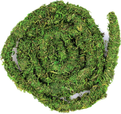 Galapagos 12 Foot Moss Vine for reptile terrarium climbing
