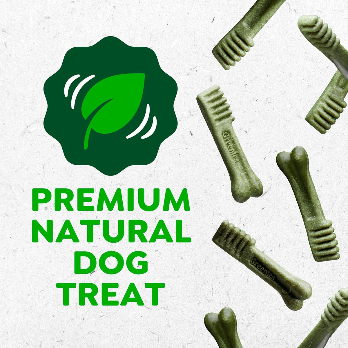 Small senior dog enjoying a Greenies Teenie dental chew