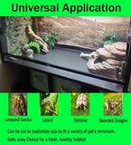 Emyssa reptile carpet packaging and product rollout.