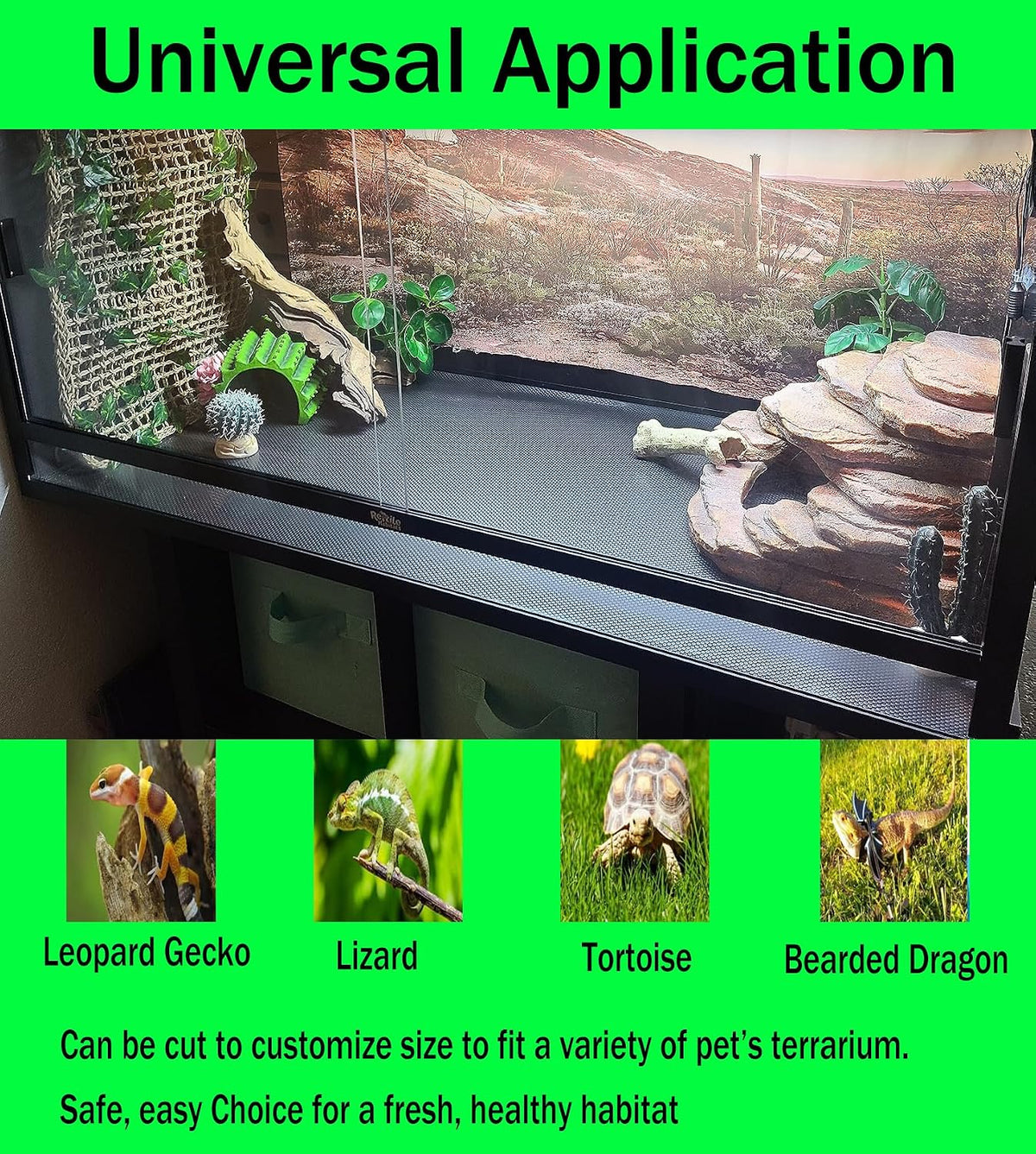 Emyssa reptile carpet packaging and product rollout.