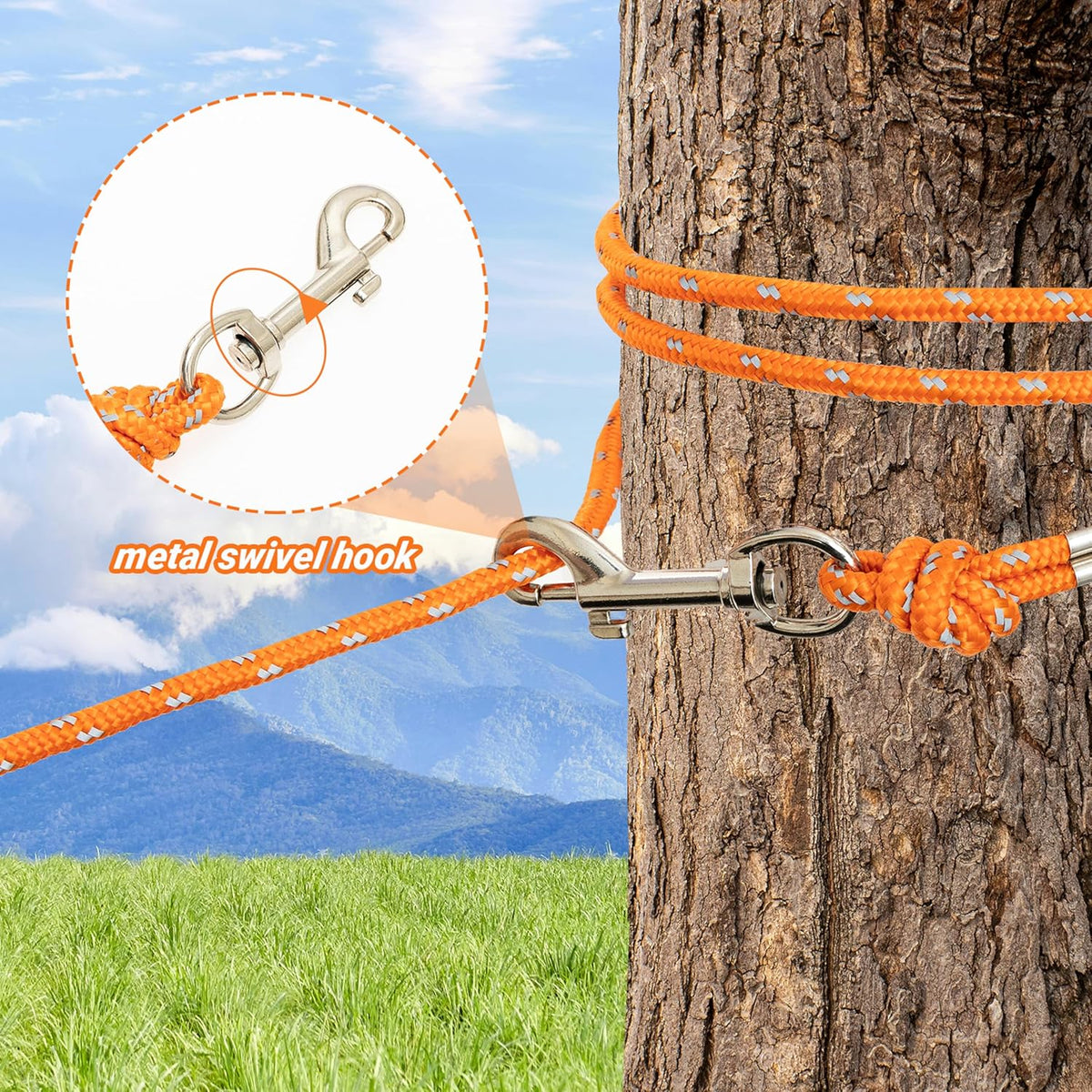Cat using escape proof leash for hiking