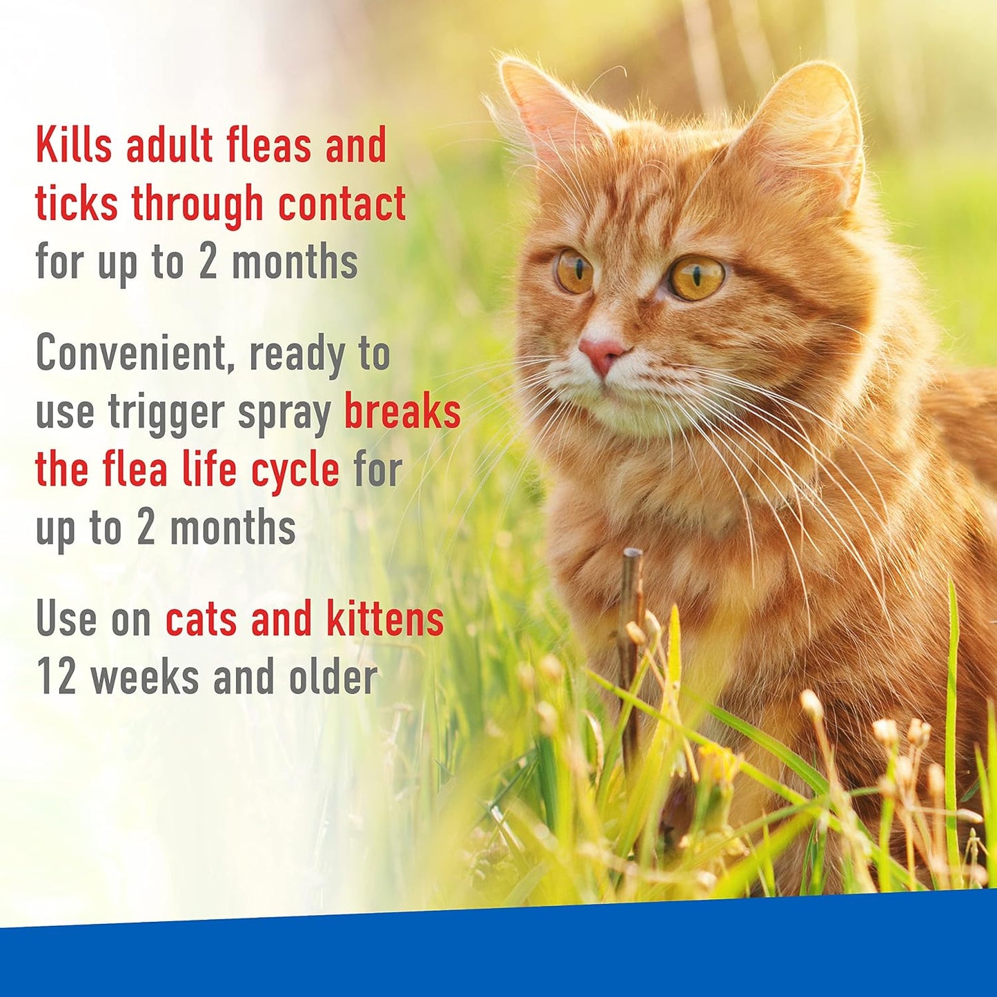 Adams flea killer and tick preventative treatment spray application