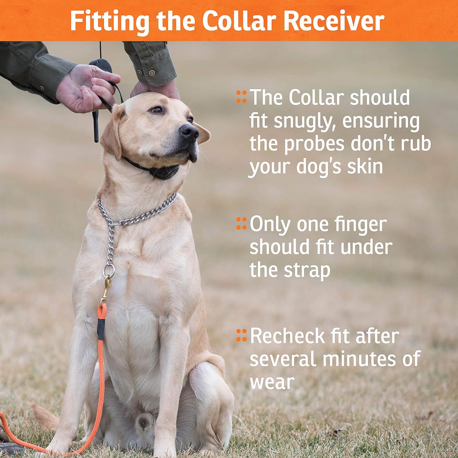 SportDOG electronic pet containment kit lifestyle image showing boundary training flags
