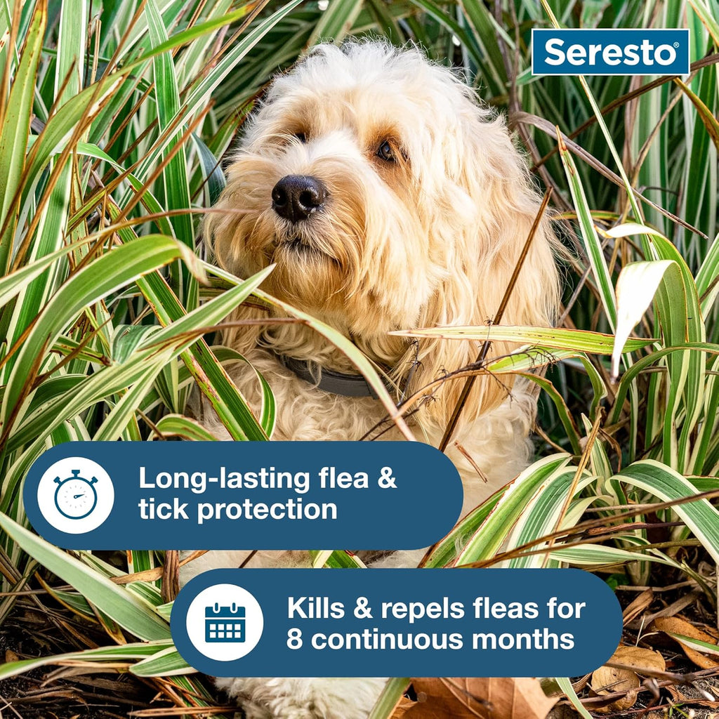 Seresto vet recommended tick prevention for small dogs