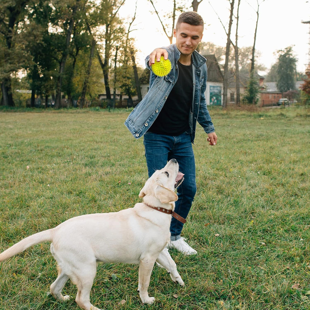 Interactive play with squeaky dog ball