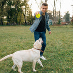 Interactive play with squeaky dog ball