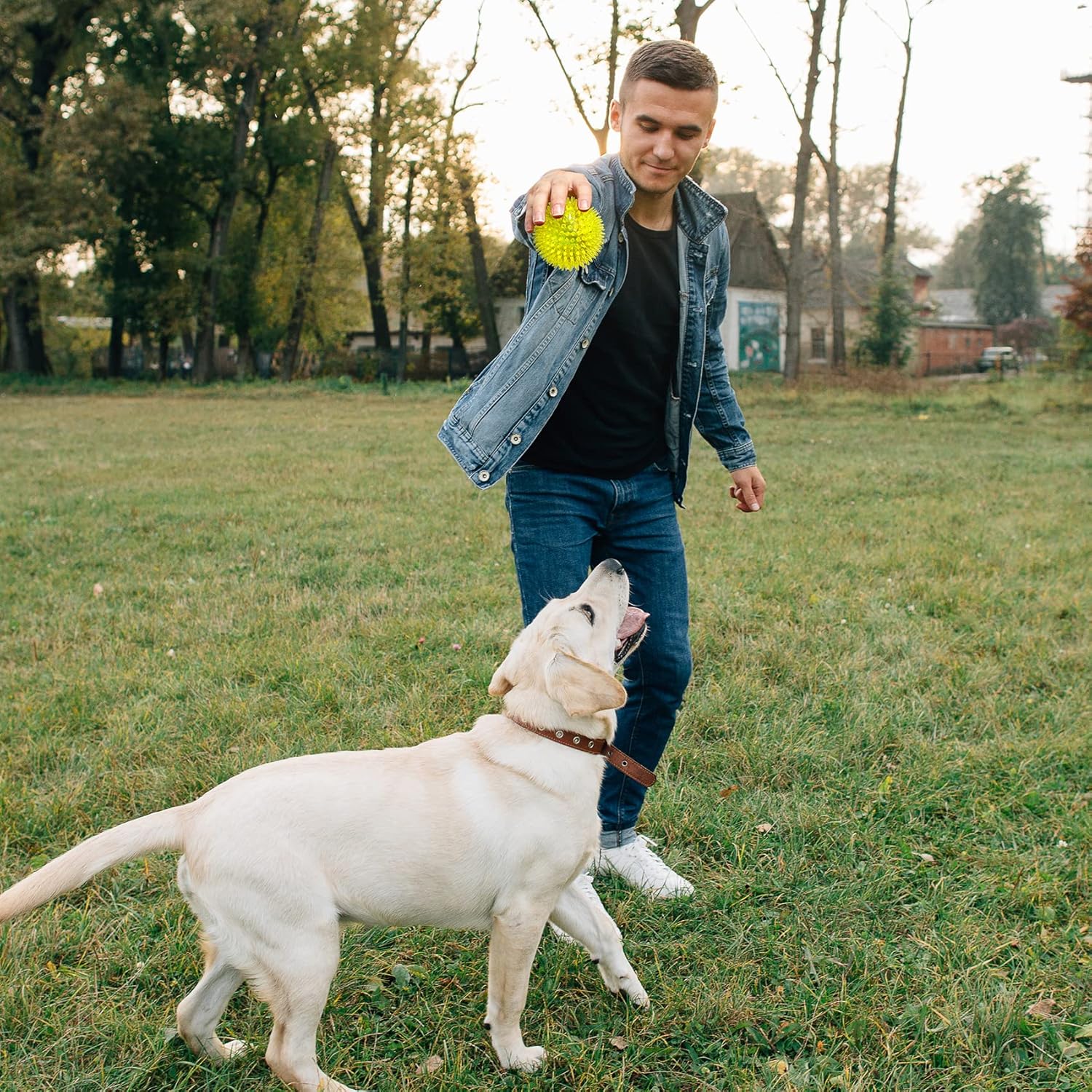 Interactive play with squeaky dog ball