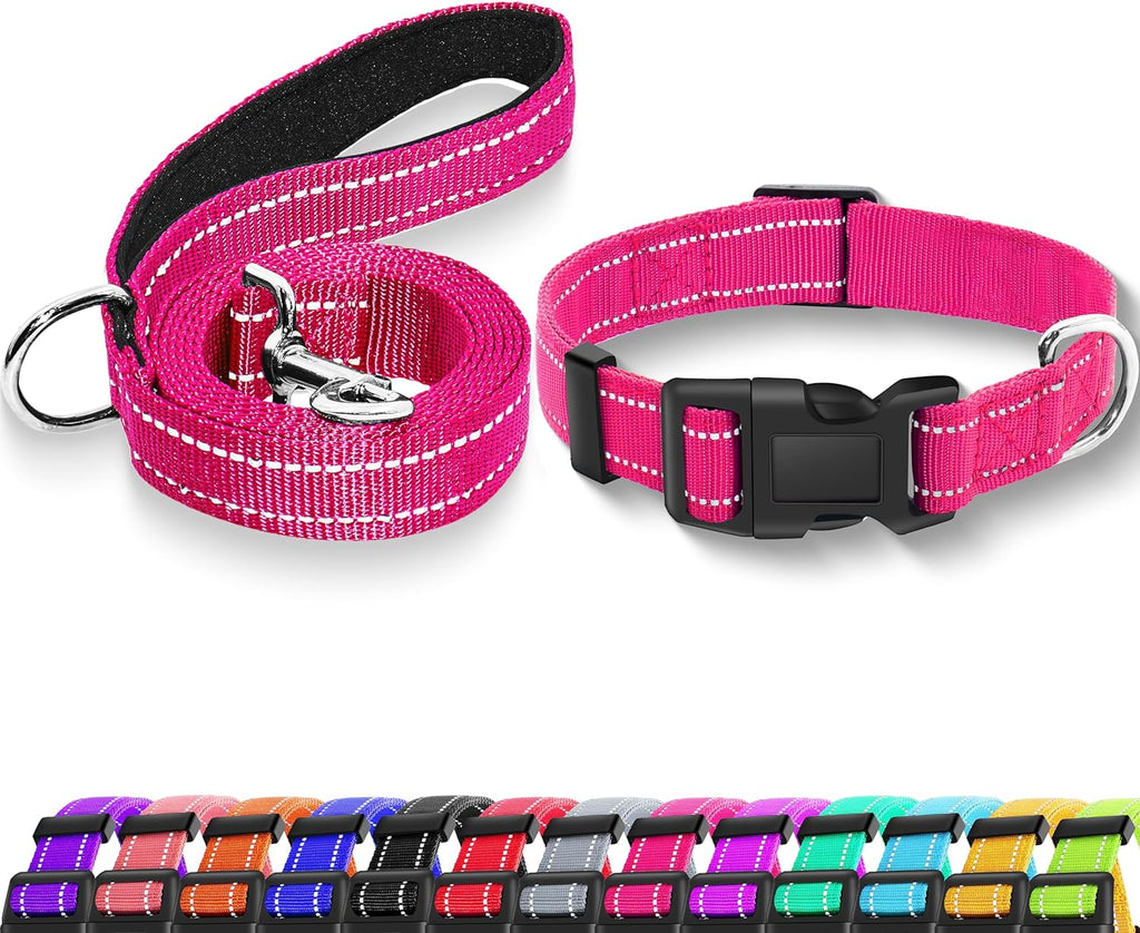 Small dog wearing turquoise reflective collar set