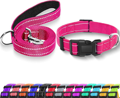 Small dog wearing turquoise reflective collar set