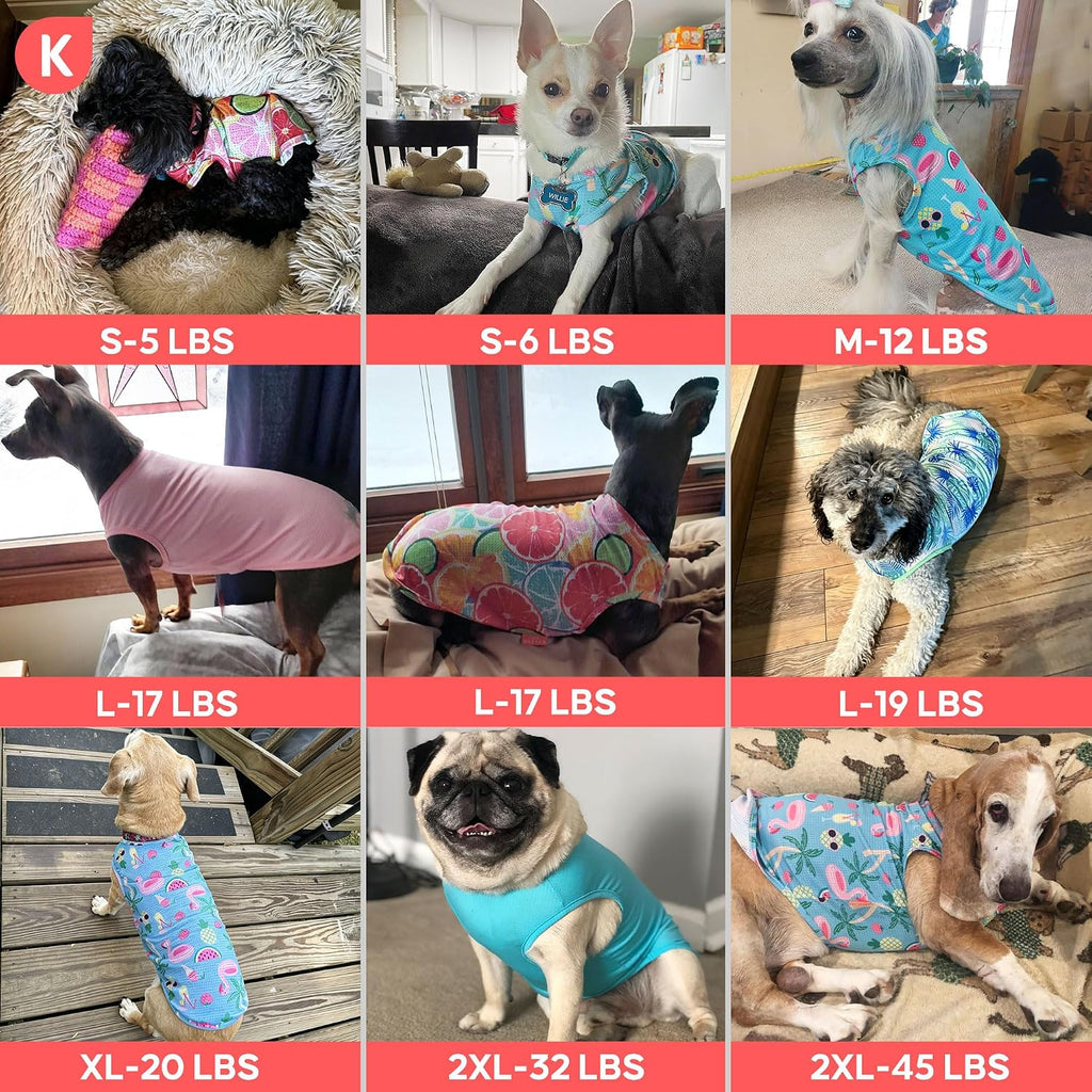 Rear view of dog wearing Kyeese sun protection vest