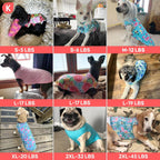 Rear view of dog wearing Kyeese sun protection vest