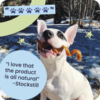 Durable circle design dog dental care bone chew for interactive play
