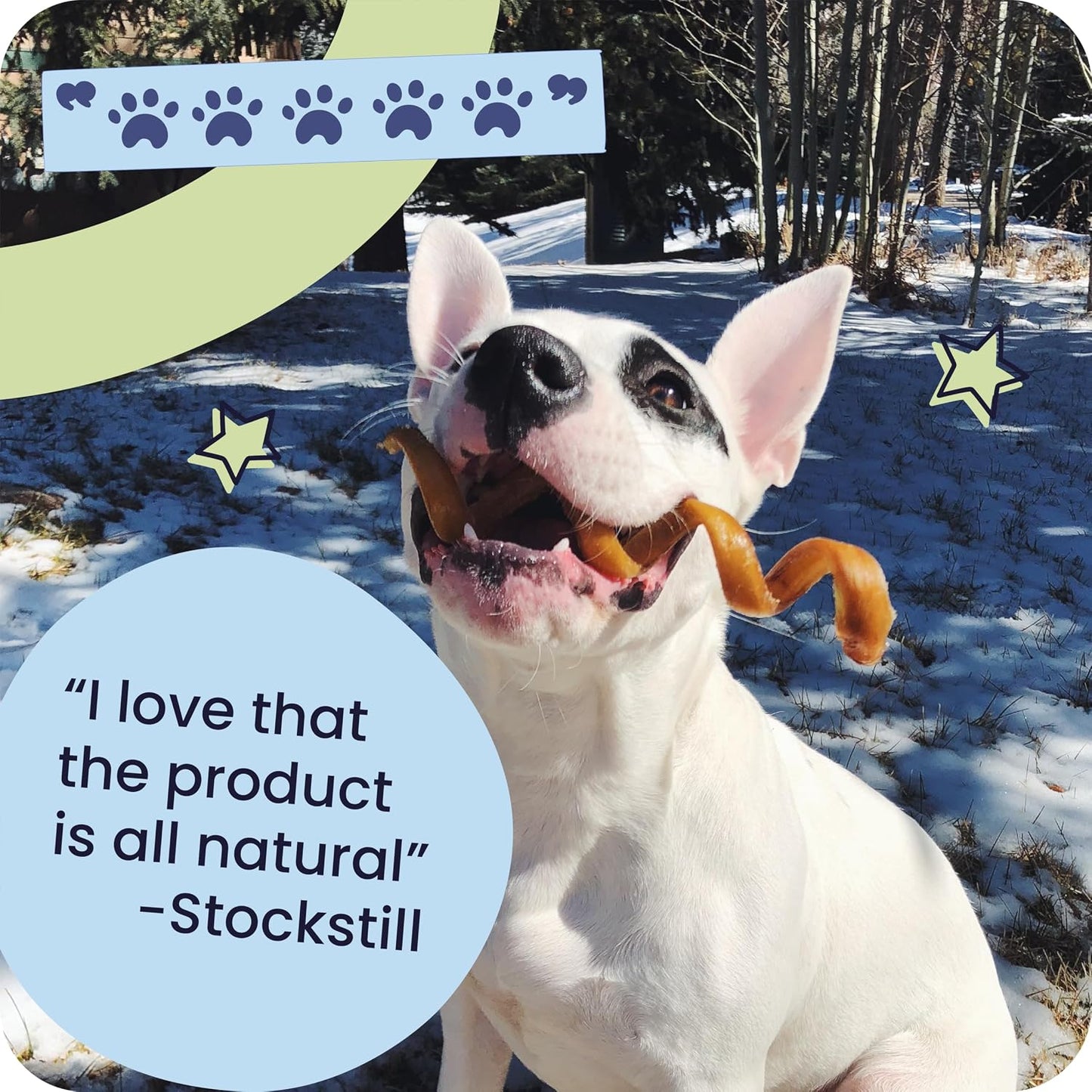 Durable circle design dog dental care bone chew for interactive play