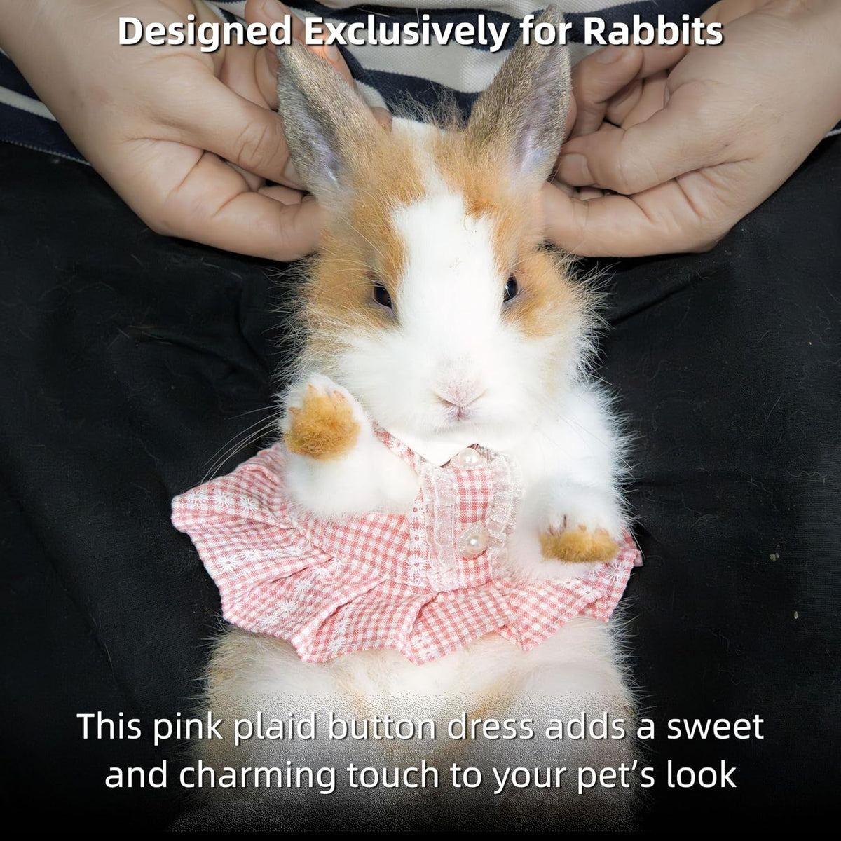 Cute small animal apparel pink gingham pattern dress for pet photography.