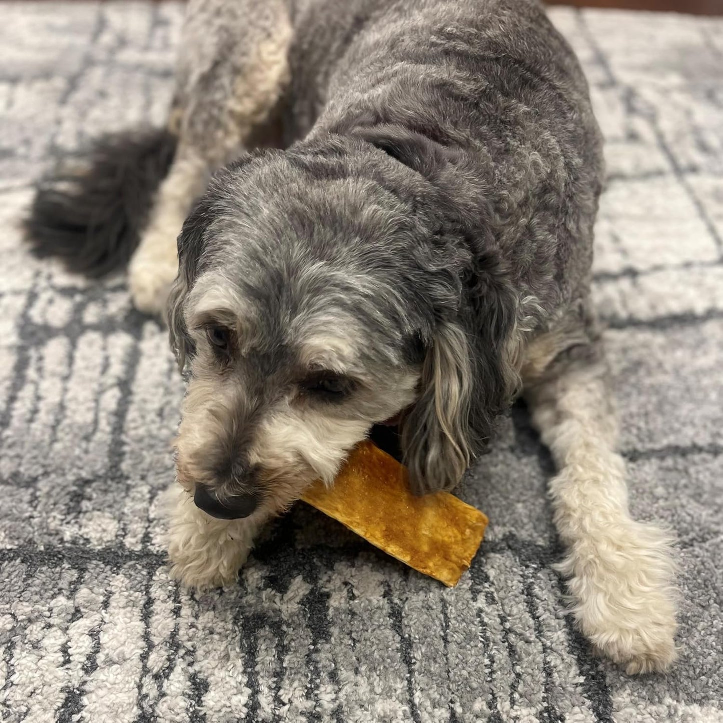 Fieldcrest Farms Nothin' to Hide Flip Chips - Collagen-Based Rawhide Alternative Dog Chews for Moderate Chewers Up to 35 lbs, Highly Digestible, Supports Joints & Skin, Fresh Salmon Flavor, 8 Chips - Image 9